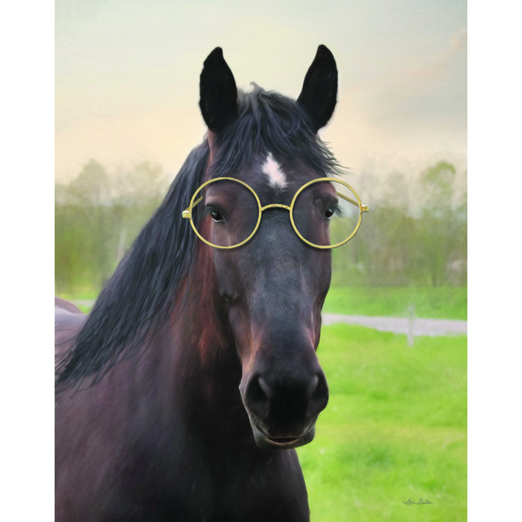 Horse glasses store